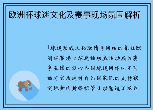 欧洲杯球迷文化及赛事现场氛围解析