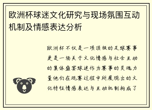 欧洲杯球迷文化研究与现场氛围互动机制及情感表达分析
